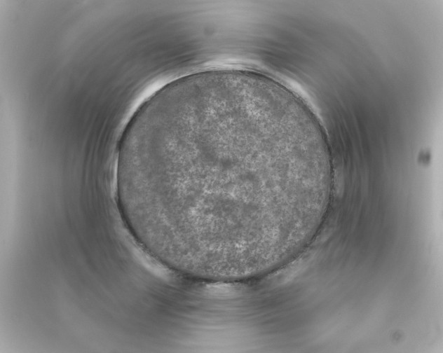 X0000090441227200708102020