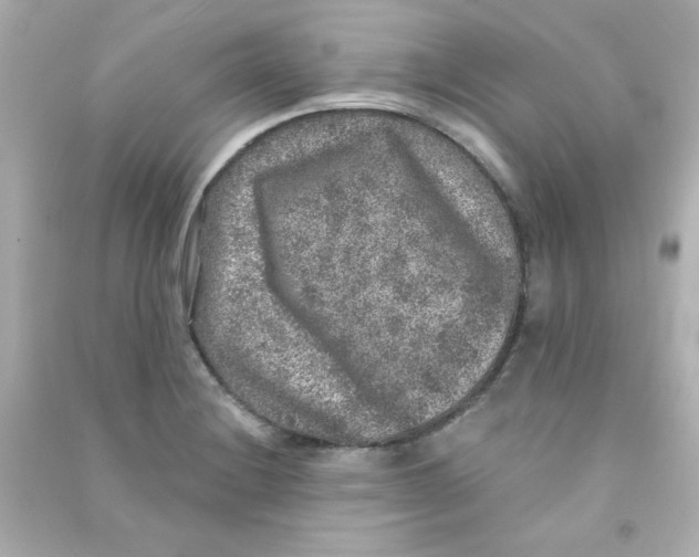 X0000090441228200708102020