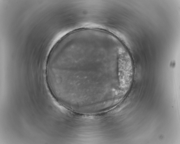 X0000090441231200708102020