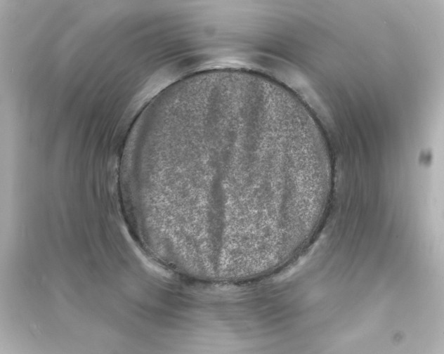 X0000090441233200708102020