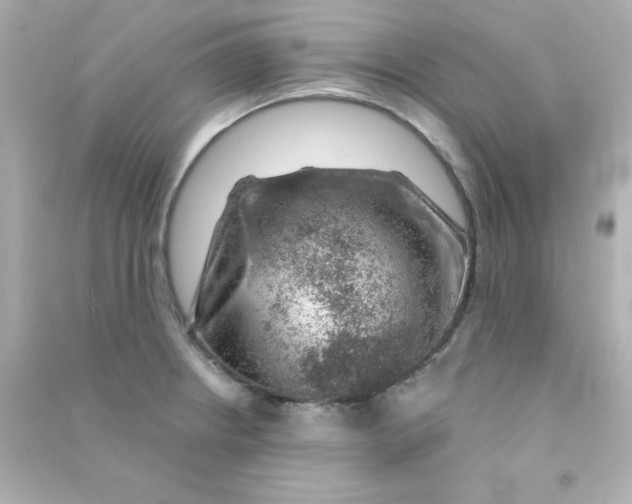 X0000090441234200708102020