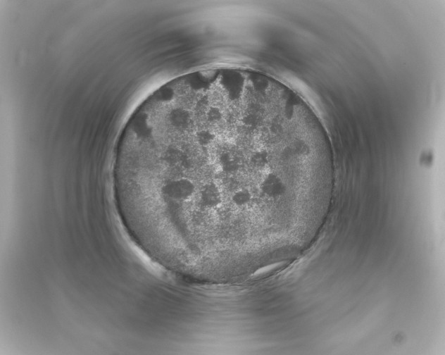 X0000090441235200708102020