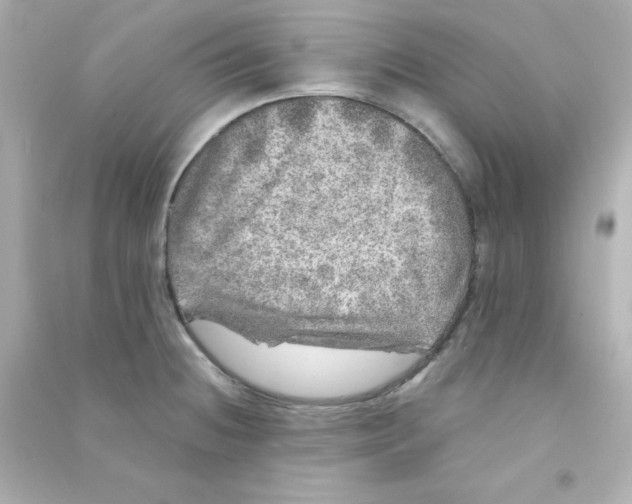 X0000090441236200708102020