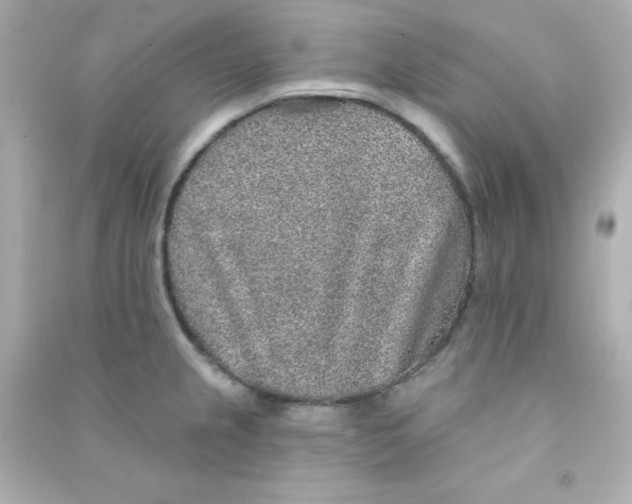 X0000090441237200708102020