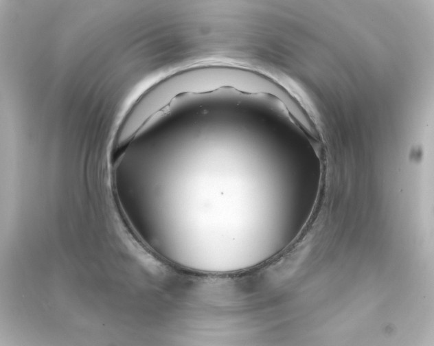 X0000090441238200708102020