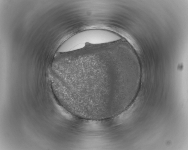 X0000090441241200708102020