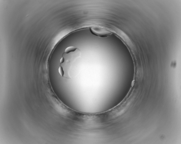 X0000090441242200708102020