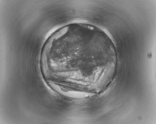 X0000090441245200708102020