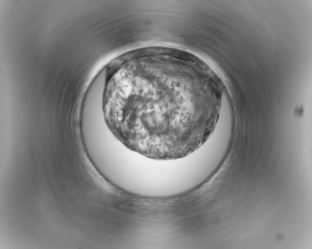 X0000090441246200708102020