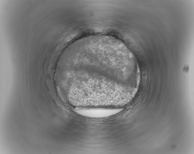 X0000090441249200708102020