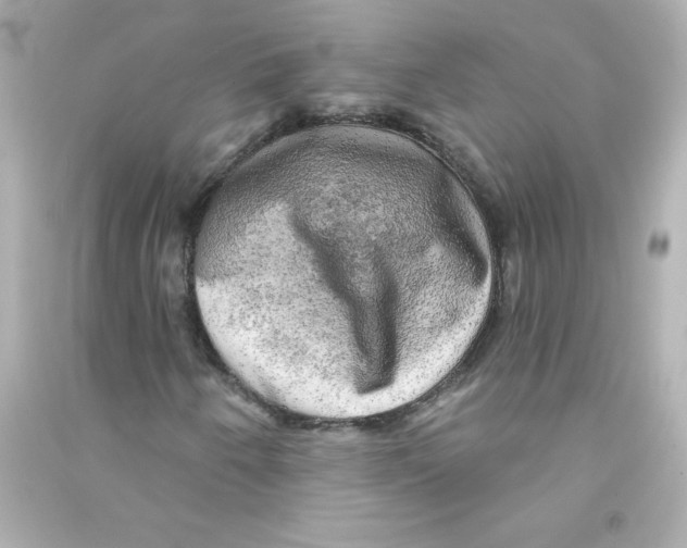 X0000090441250200708102020