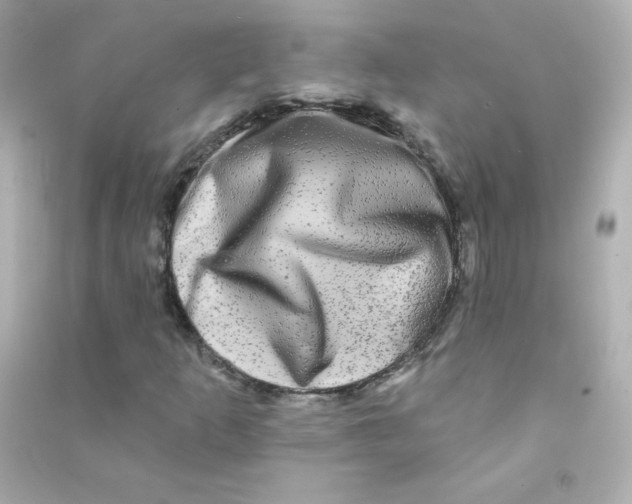 X0000090441253200708102020
