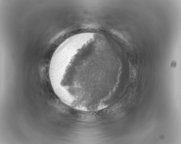 X0000090441254200708102020