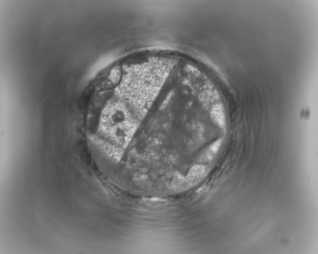 X0000090441255200708102019