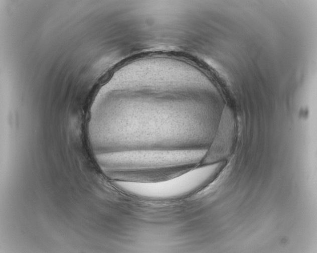 X0000090441257200708102019