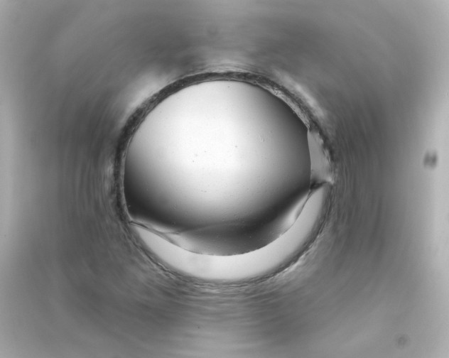 X0000090441261200708102019