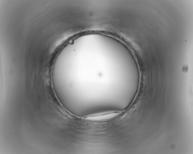 X0000090441262200708102019