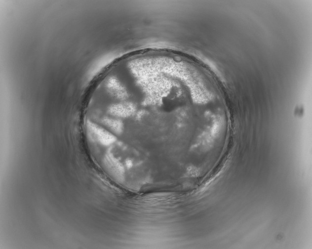 X0000090441263200708102019