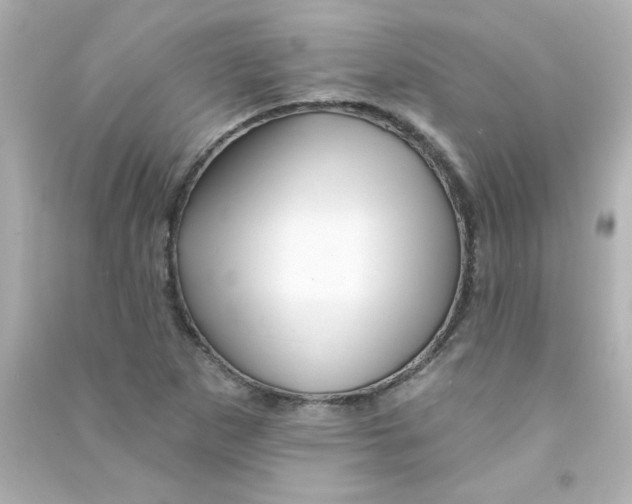 X0000090441265200708102019