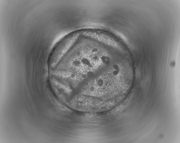 X0000090441267200708102019
