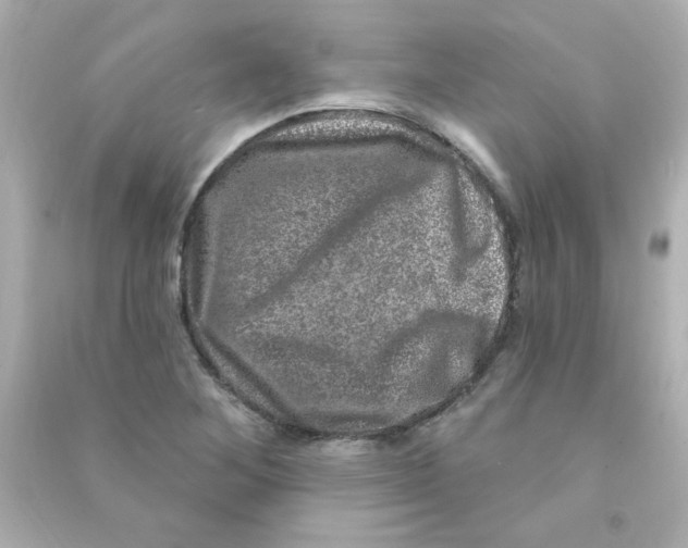 X0000090441268200708102019