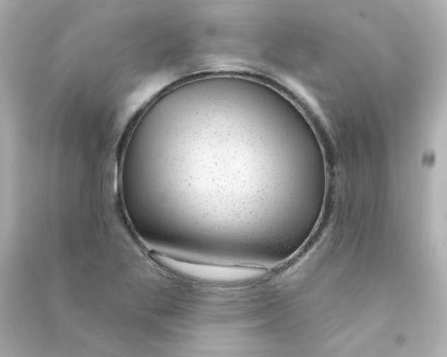 X0000090441269200708102019