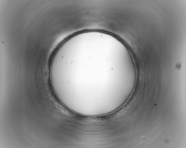 X0000090441270200708102019