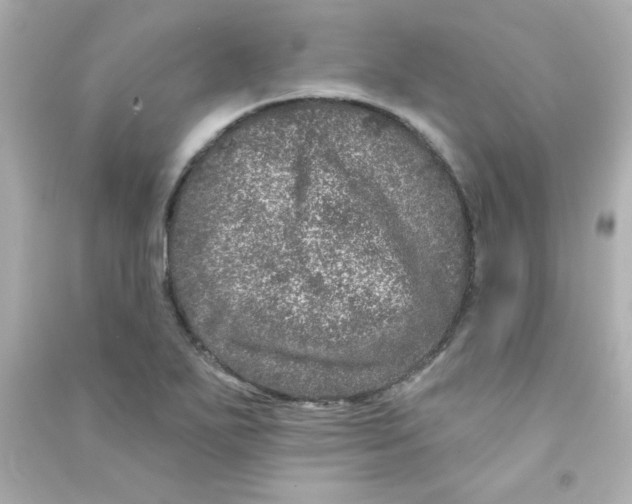 X0000090441271200708102019