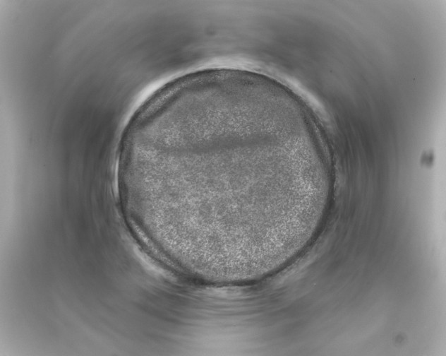 X0000090441272200708102019