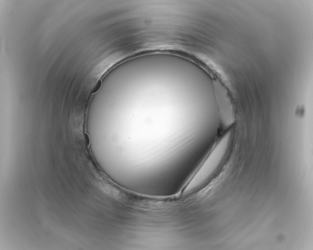 X0000090441273200708102019
