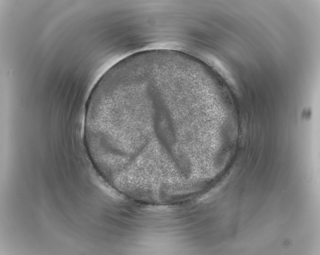 X0000090441276200708102019