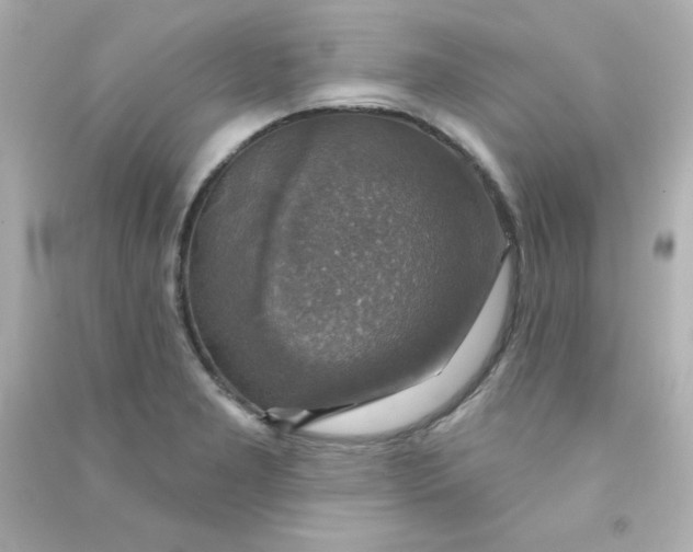 X0000090441277200708102019