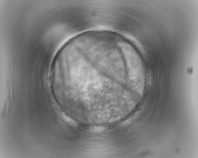X0000090441278200708102019