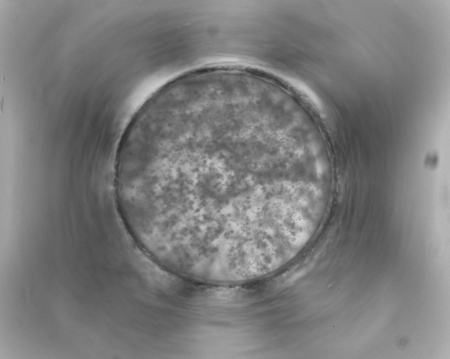 X0000090441279200708102019