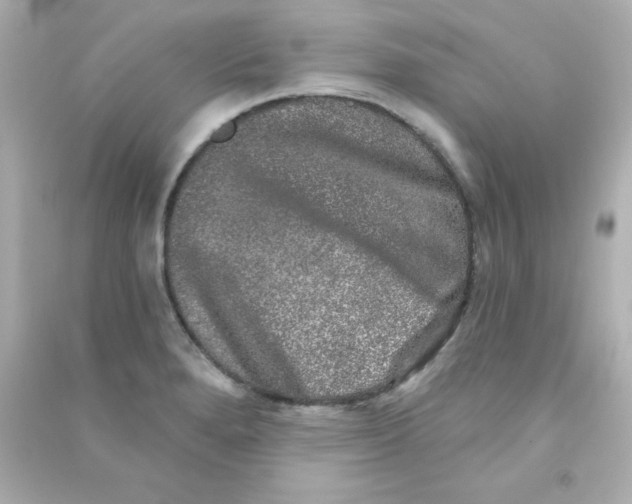 X0000090441280200708102019