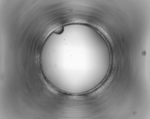 X0000090441281200708102019