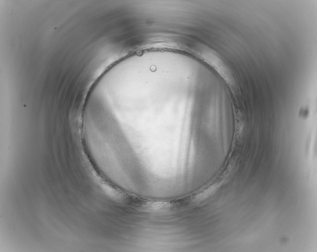 X0000090441282200708102019
