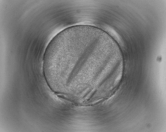 X0000090441284200708102019