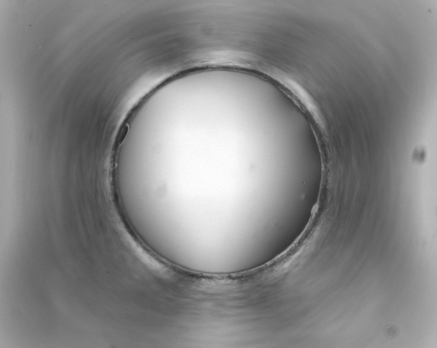 X0000090441285200708102019