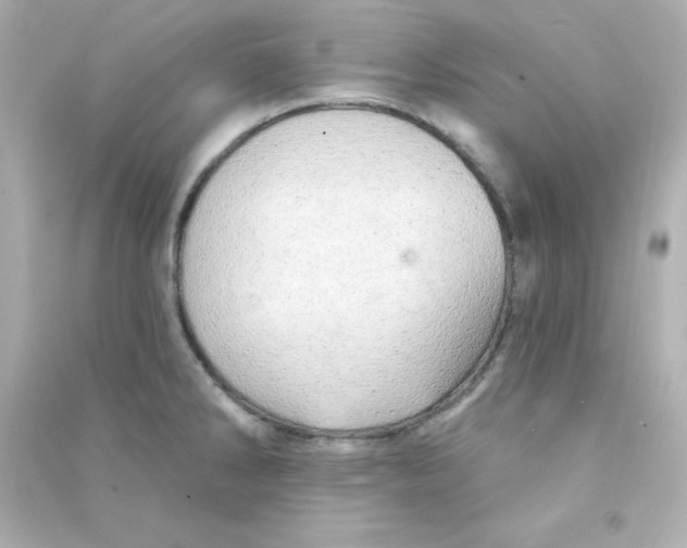 X0000090441286200708102019
