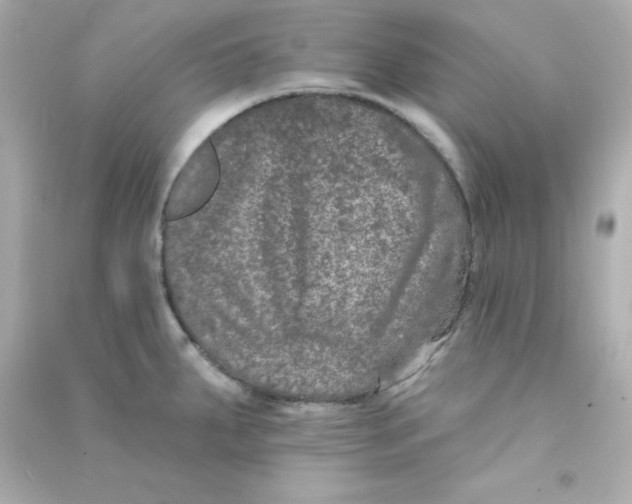 X0000090441287200708102019