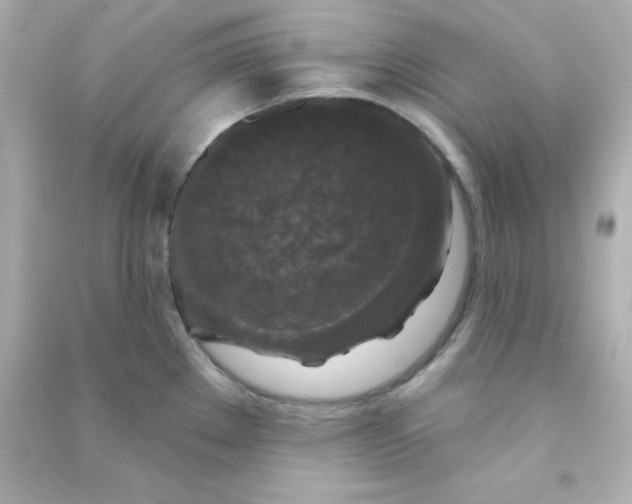 X0000090441289200708102019