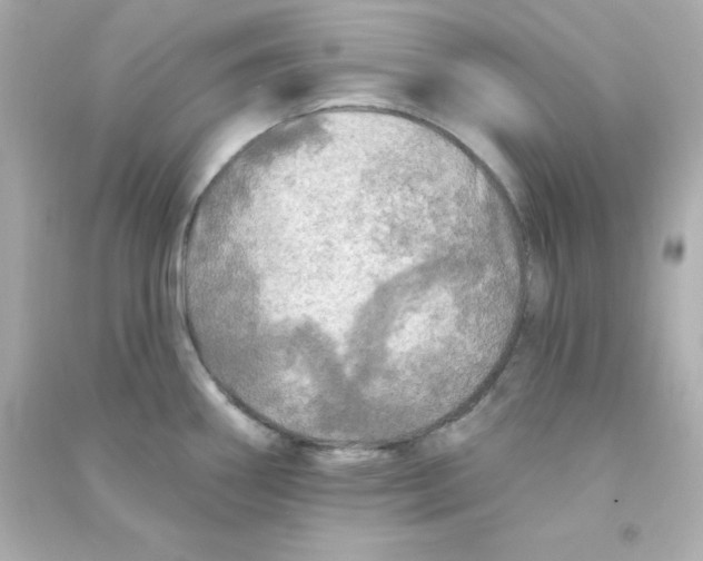 X0000090441290200708102019