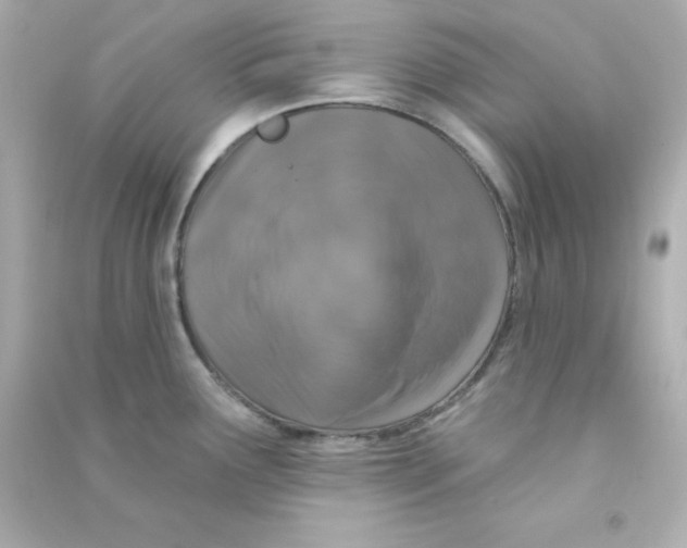X0000090441291200708102019