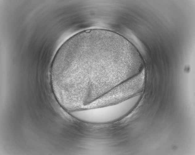 X0000090441292200708102019