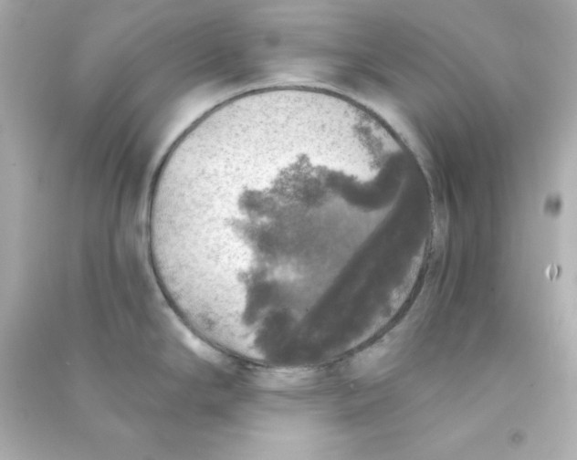 X0000090441294200708102019