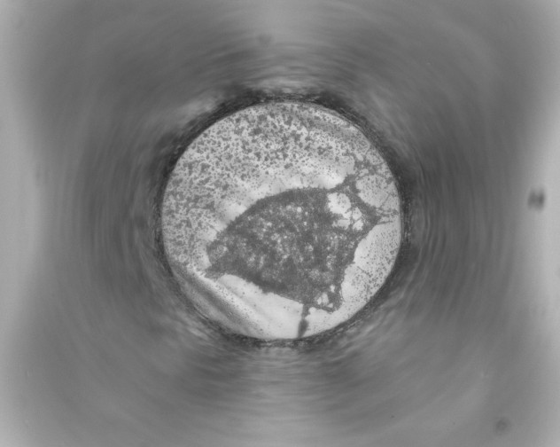 X0000090441297200708102018