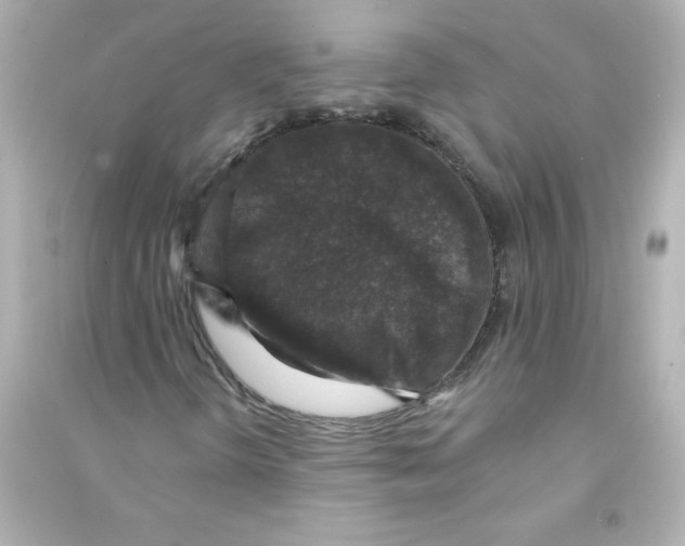 X0000090441298200708102018