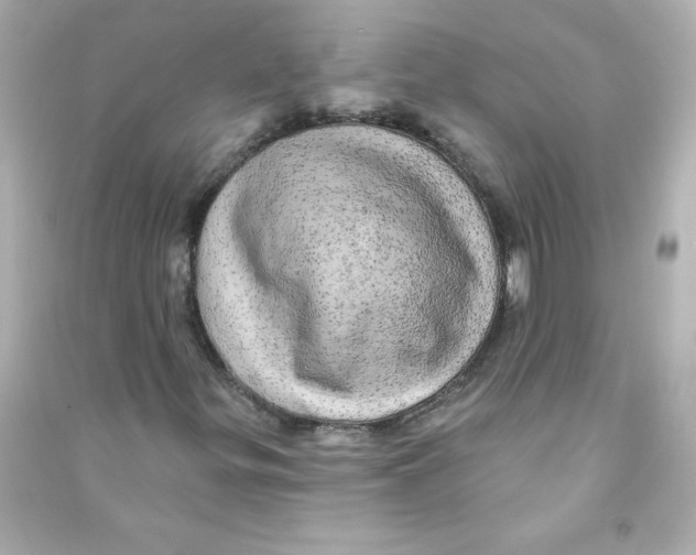 X0000090441299200708102018