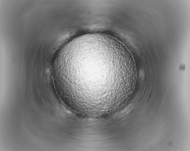 X0000090441300200708102018